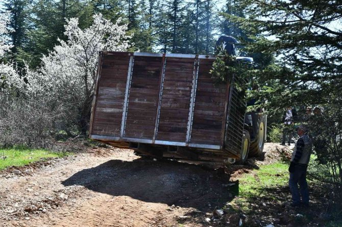 Doğal Yaşam Parkı’ndaki Kızıl Geyiklerin Yeni Yuvası Spil Dağı