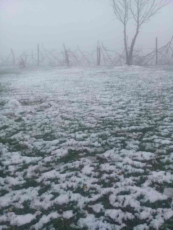 Ordu’da Mayıs Ayında Kar Yağışı
