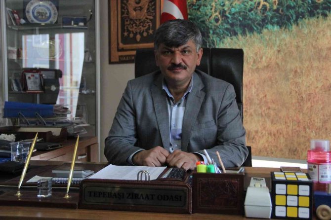 Yağışlar Çiftçinin Umutlarını Yeşertti