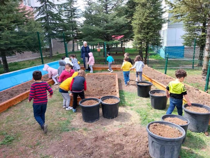 Minik Ellerden Büyük Proje