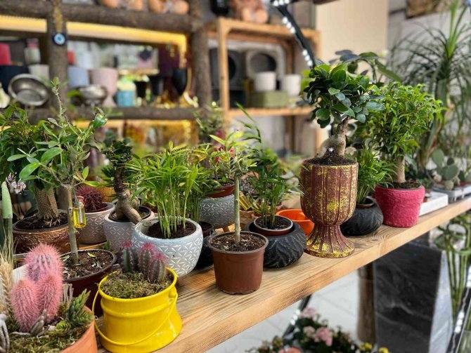 Çiçekçilerde Anneler Günü Yoğunluğu Başladı