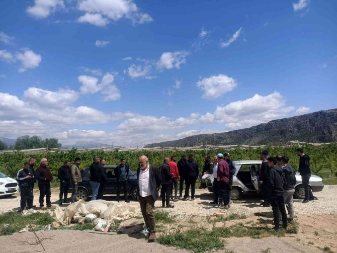 Çiftçi Ve Zabıta Dolu Topu Avına Çıktı