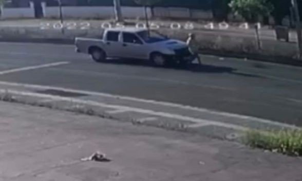 Diyarbakır’da Çarparak Bir Kadının Ölümüne Neden Olan Araç Sürücüsü Ehliyetsiz Ve Alkollü Çıktı