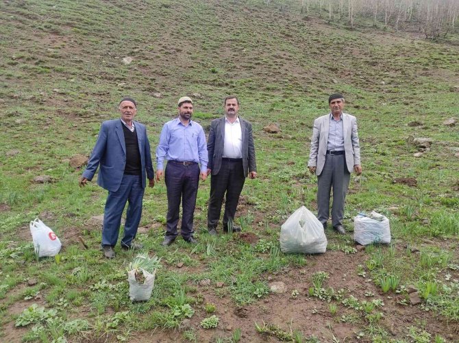 Doğu Ve Güneydoğuda Teröristlerden Arındırılan Dağlar, Vatandaşların Geçim Kaynağı Oldu