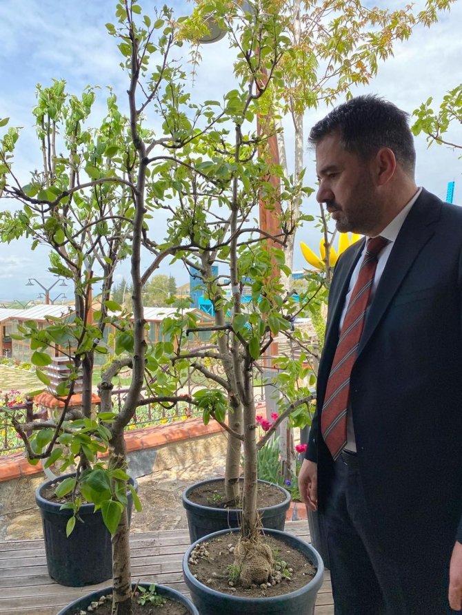 Pursaklar’da Çocuklar Meyveyi Dalından Yiyecek