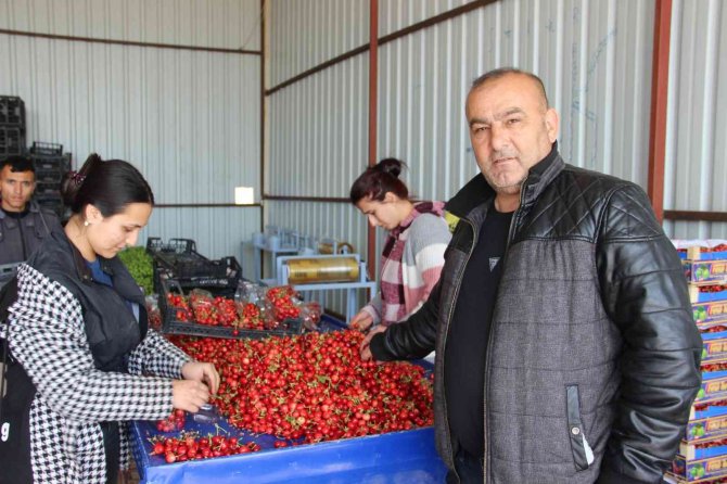 Kirazda Fiyatlar Düştü