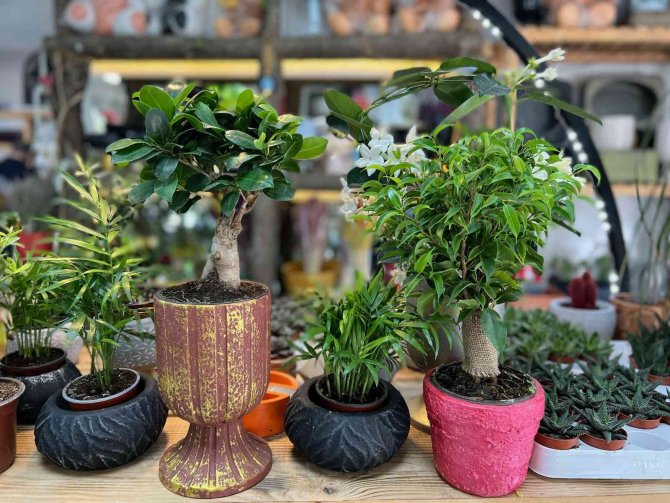 Çiçekçilerde Anneler Günü Yoğunluğu Başladı