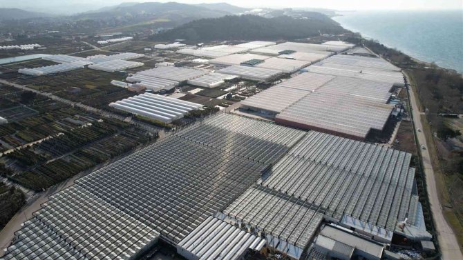 Çiçek Kenti Yalova’da Anneler Günü Telaşı