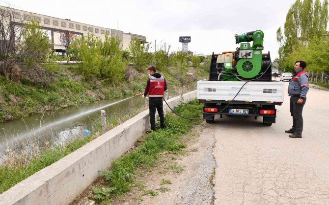 Tepebaşı’ndan Haşereye Karşı İlaçlama Çalışmaları