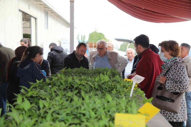 Organik Tarıma İlgi Arttı