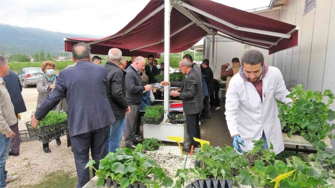 Organik Tarıma İlgi Arttı