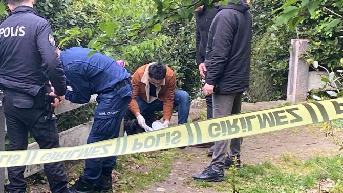 Lise Öğrencisi Kayalıklardan Denize Düştü