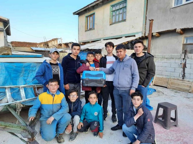 Minik Yavru Tilkiyi Çocuklar Terkedilmiş Halde Buldu