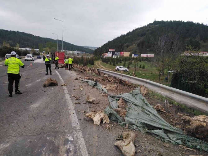 Ağaç Kökü Yüklü Tır Devrildi, Sürücüsü Yaralandı