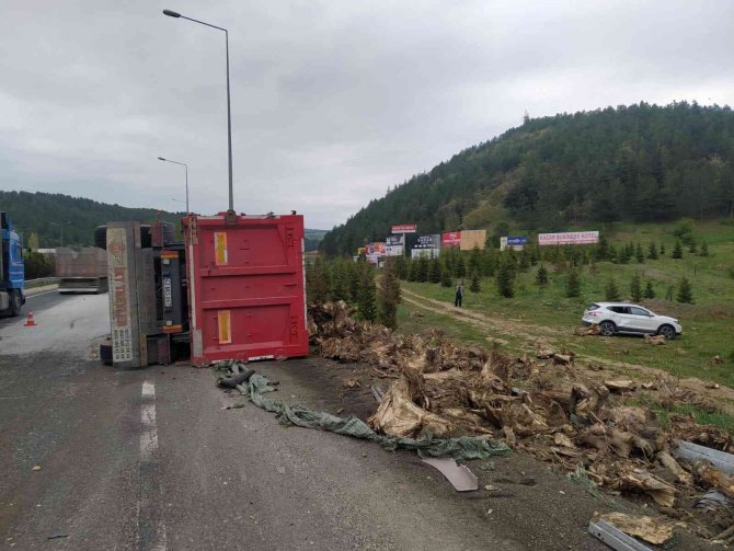 Ağaç Kökü Yüklü Tır Devrildi, Sürücüsü Yaralandı