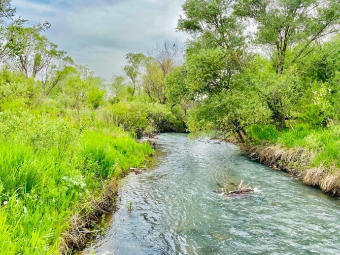 Ağrı’da Yeniden Canlanan Doğa Büyülüyor