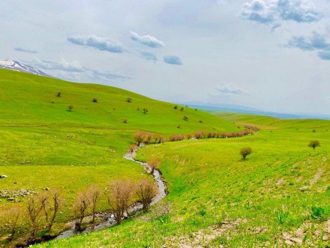 Ağrı’da Yeniden Canlanan Doğa Büyülüyor