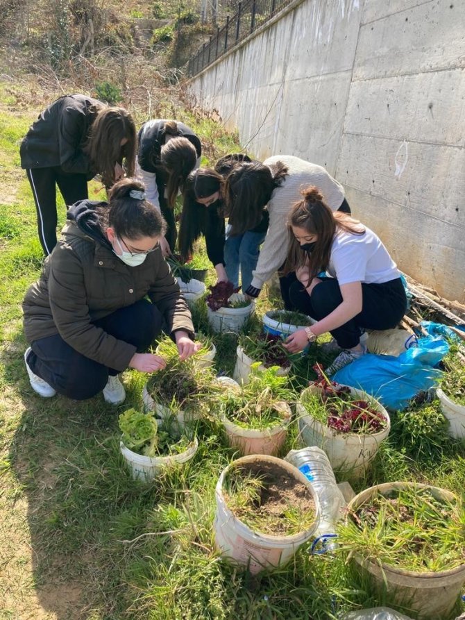 Öğrenciler ‘E-twinning’ Projesi İle Endemik Bitkileri Tanıyor