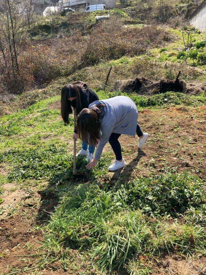Öğrenciler ‘E-twinning’ Projesi İle Endemik Bitkileri Tanıyor