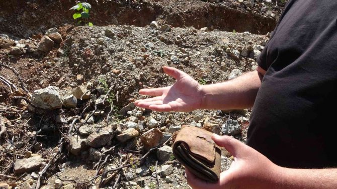Fidan Dikerken Bulunan Cüzdanın 20 Yıl Önce Çalındığı Ortaya Çıktı
