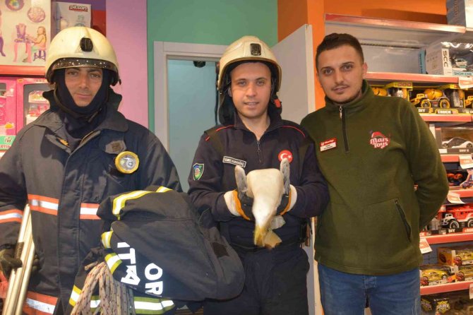 Sesi Duyan İş Yeri Çalışanları Martı İçin Seferber Oldu