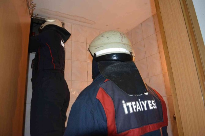 Sesi Duyan İş Yeri Çalışanları Martı İçin Seferber Oldu