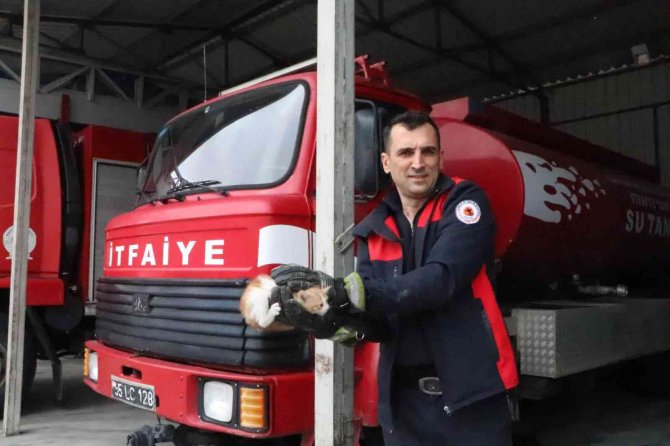 Otomobilin Altına Giren Kediyi İtfaiye Kurtardı