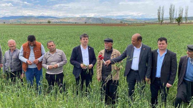 Milletvekili Tutdere: “Dolu Afetinden Dolayı Ağaçlarda Dal, Ekinlerde Başak Kalmadı”