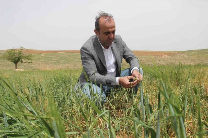 Türkiye’deki Kuraklık Riskine Dikkat Çekildi