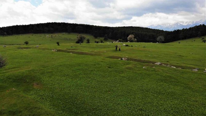 Bahar Geldi, O Yayla Muhteşem Görüntüye Kavuştu