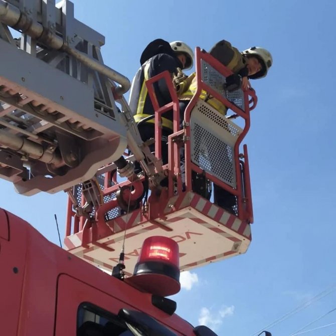 Bursa’da Ağaçta Mahsur Kalan Kediyi İtfaiye Kurtardı