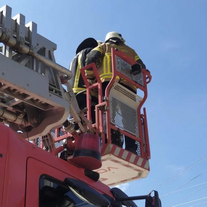 Bursa’da Ağaçta Mahsur Kalan Kediyi İtfaiye Kurtardı