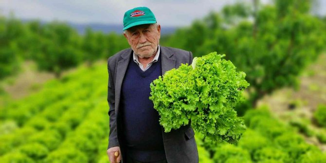 Marul Tarlada 2 Lira Tezgahta 10 Lira