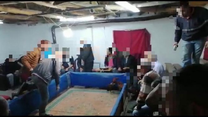 Cinayetten Aranan Şahıs Horoz Dövüştürürken Yakalandı