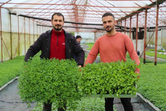 Gençlere Büyük Destek