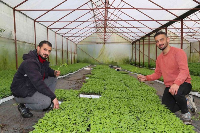 Gençlere Büyük Destek