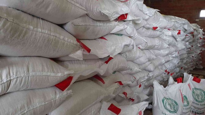 Sinoplu Çiftçilere Çeltik Tohumu Hibesi