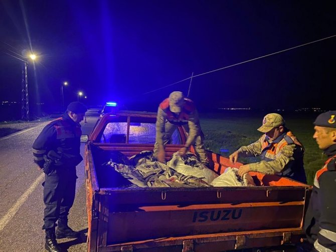 Van’da Kaçak Avlanan 1 Ton İnci Kefali Ele Geçirildi