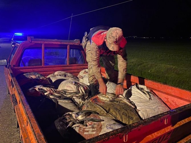 Van’da Kaçak Avlanan 1 Ton İnci Kefali Ele Geçirildi