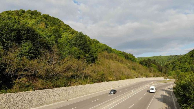Zonguldak Ormanları Baharda Görenleri Hayran Bırakıyor