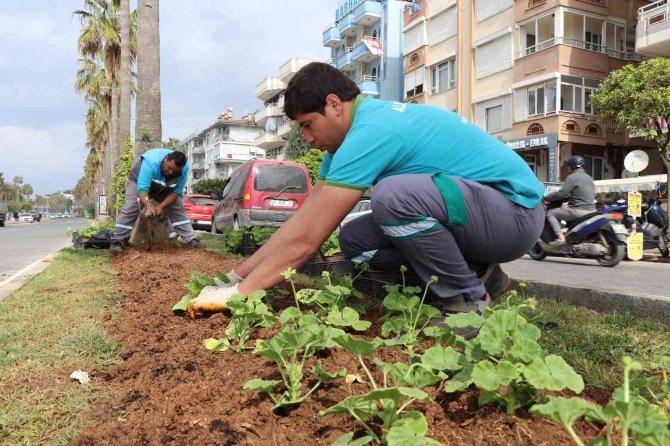 630 Bin Çiçekle Alanya Rengarenk Olacak