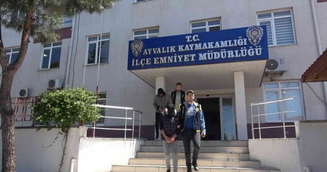Çaldıkları 32 Oğlağı Bir Otomobile Sığdıran Hırsızlar Ayvalık Polisinden Kaçamadı