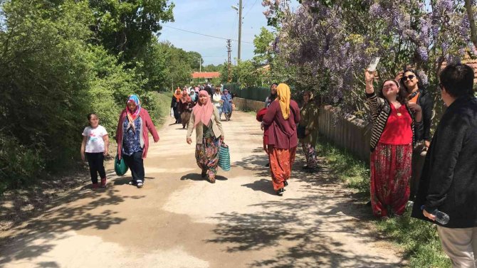 Çanakkale’de Aşıklar Sokağı’nda Gençler Kısmetini Aradı