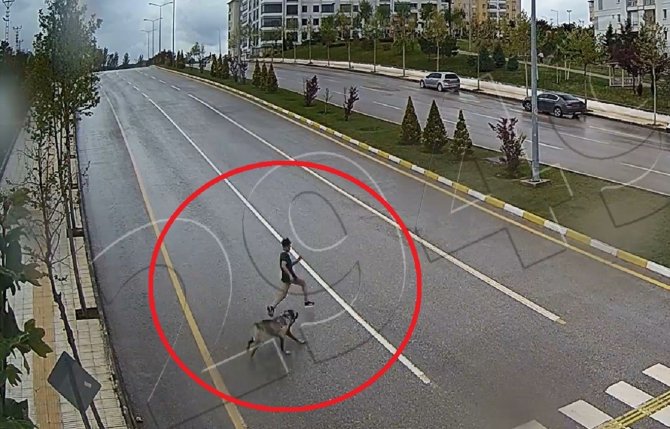 Sokak Köpeğinden Kaçarken Düşen Çocuk Ağır Yaralanmıştı, O Anlar Kamerada