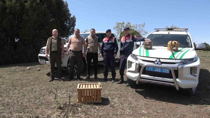 Keklik Avına Çıkanlara Dikkat, Cezası Büyük: Tuzak Avcılığına 13 Bin 500 Lira Ceza Kesildi