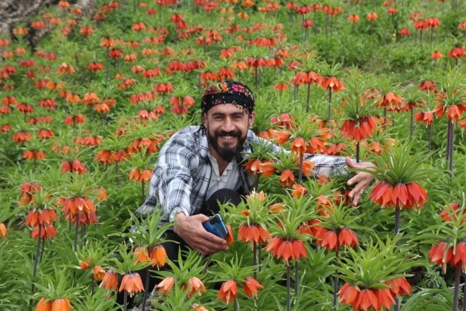 ‘Ağlayan Gelinler’den Görsel Şölen
