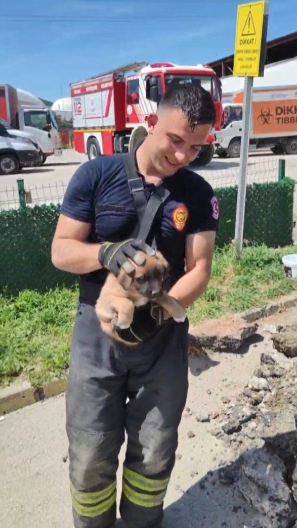Yavrusu Kurtarılana Kadar Başında Bekledi