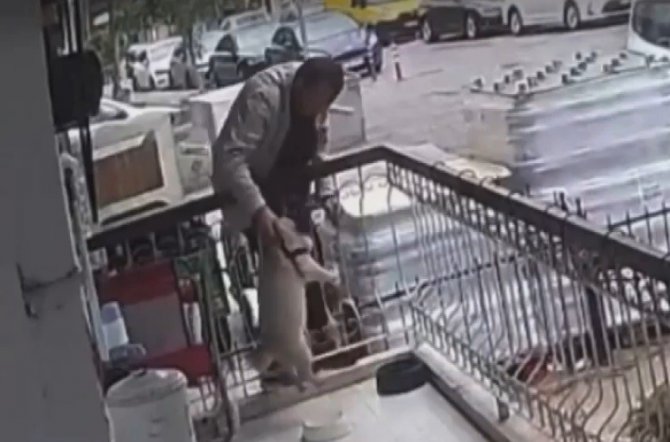 İ̇zmir’de Balkondan Çalınan Köpek Bulundu