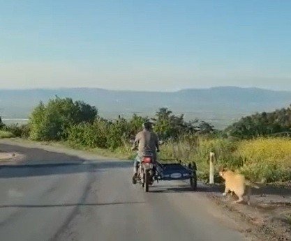Köpeği Motosikletin Arkasına Bağlayıp Sürükledi