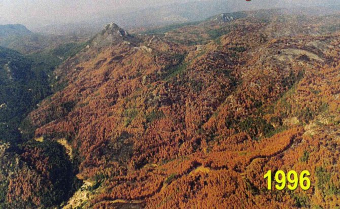 26 Yıl Önce Yandı, Yeşil İle Mavi Tekrar Buluştu